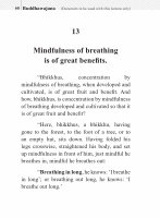 The Discourse about Mindfulness while Breathing